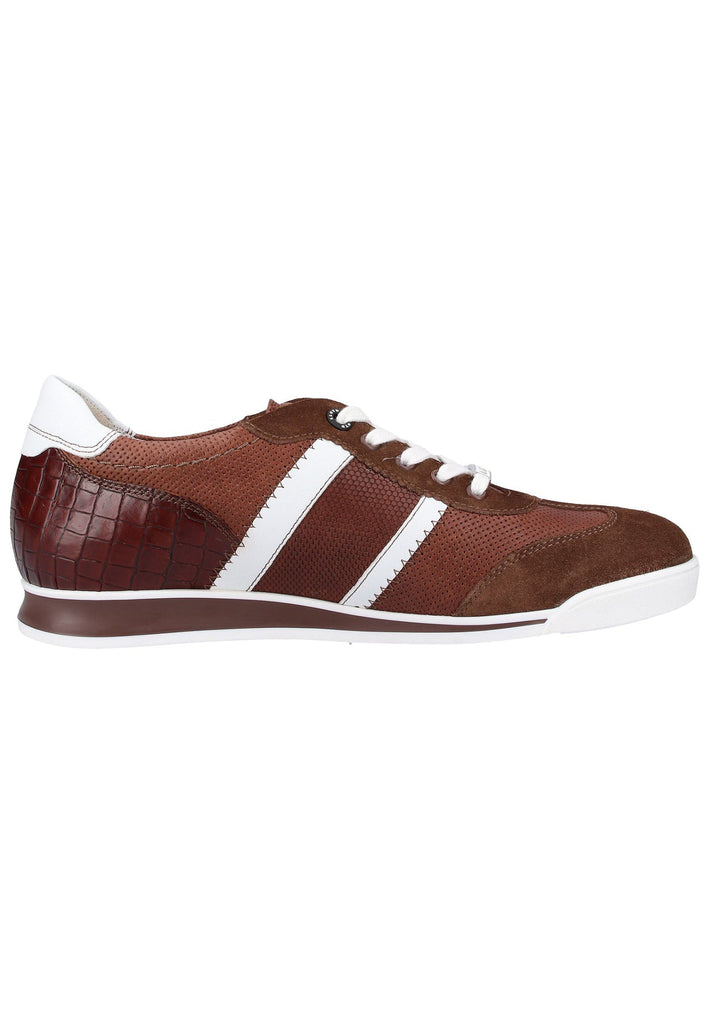 Lloyd Sneaker Leder Cigar