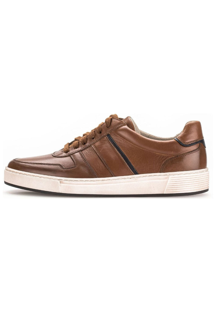 Pius Gabor Sneaker Leder Cognac