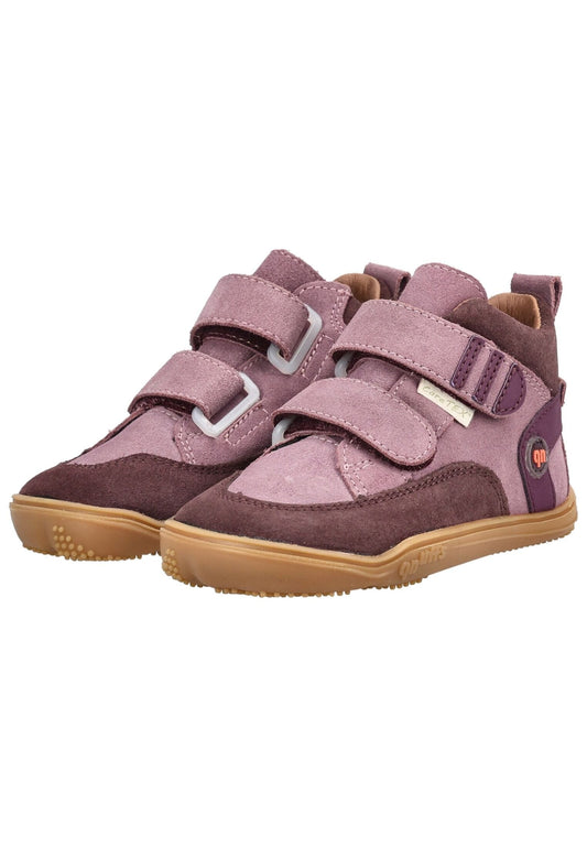 qnuffs Stiefelette Veloursleder Blackberry