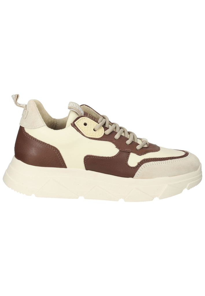 Steve Madden Sneaker Leder Beige/Braun
