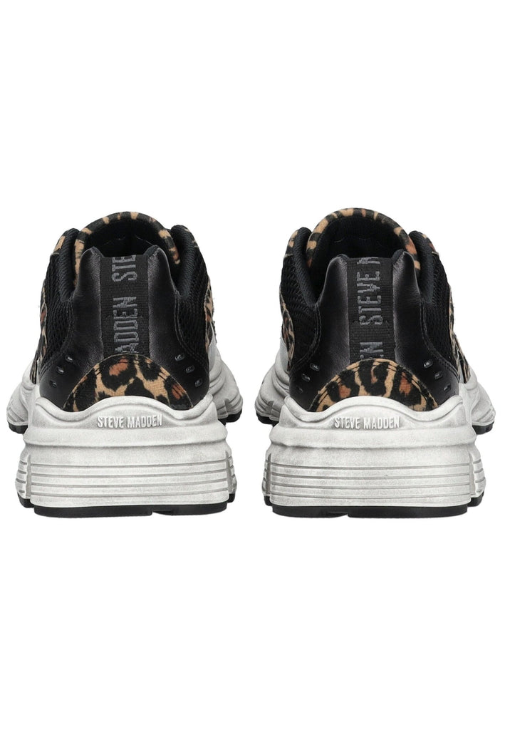 Steve Madden Sneaker Leder/Synthetik Schwarz