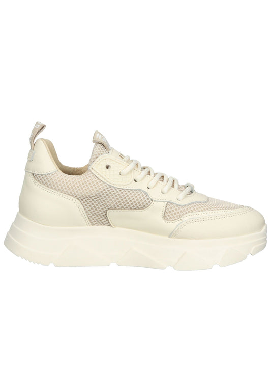 Steve Madden Sneaker Leder/Textil Bone