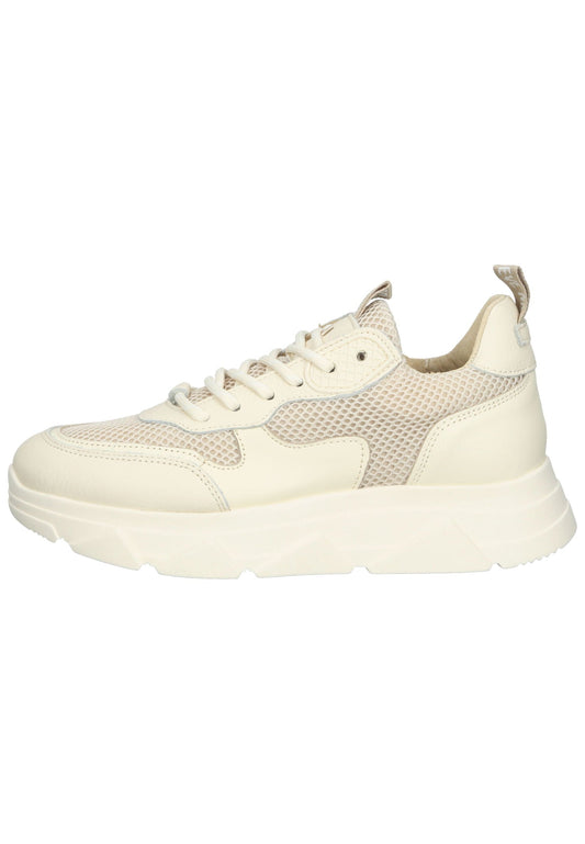 Steve Madden Sneaker Leder/Textil Bone