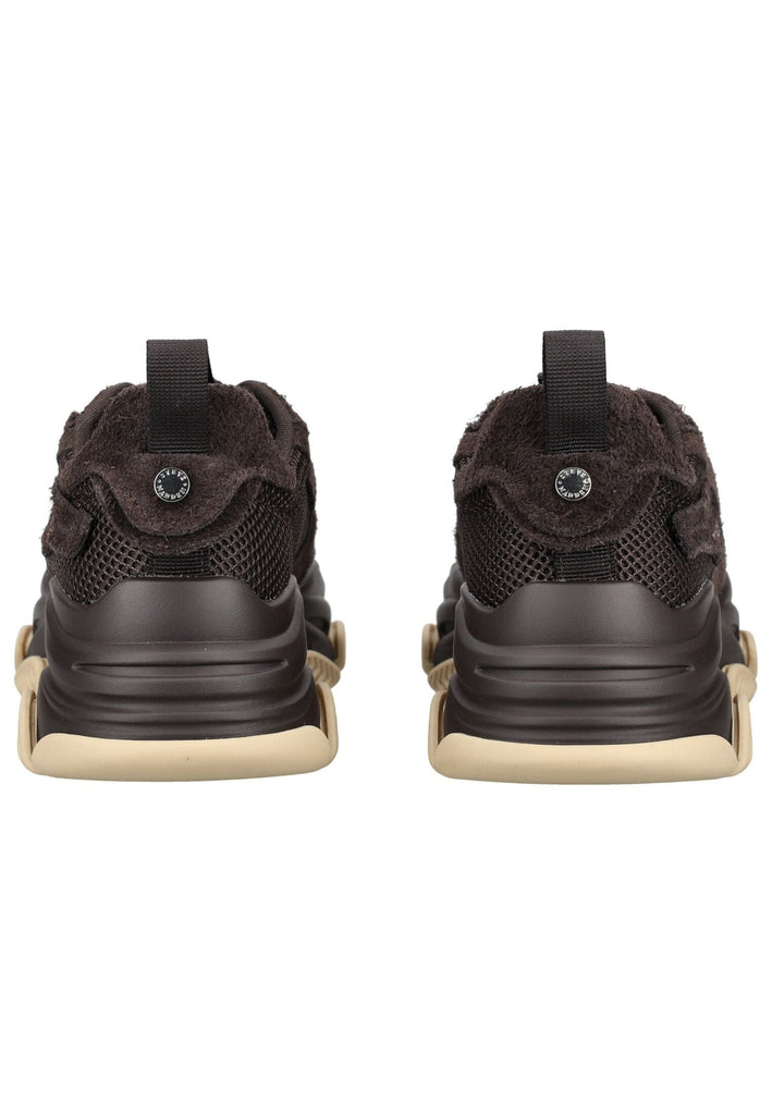 Steve Madden Sneaker Leder/Textil Braun